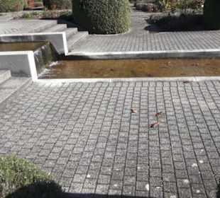 Salzquell