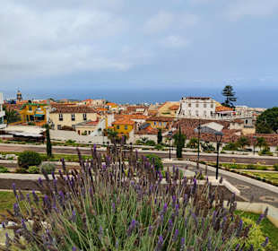 Jardínes Victoria