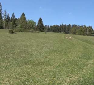 Premiumwanderweg Hochgehschätzt