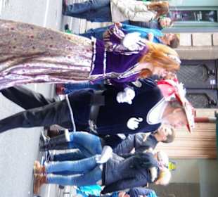 Schwanenritter Nürnberg