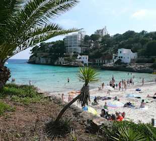 Der Strand der Cala Santanyi