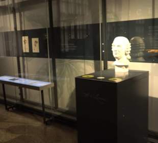Museum für Naturkunde