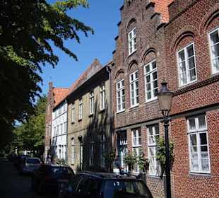 Ein Rundgang durch die "Rosenstadt" im Sommer 