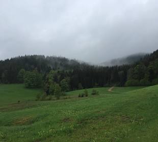 Schwarzwald