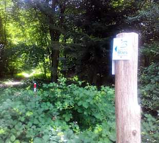 Glan-Blies-Rad- und Wanderweg in Homburg