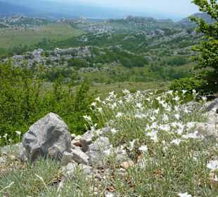 Well preserved nature of Velebit mountain
