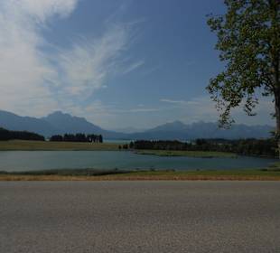 Forggensee