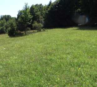 Naturerlebnispfad Sternberg