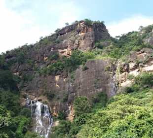 Elefantenreiten Sigiriya