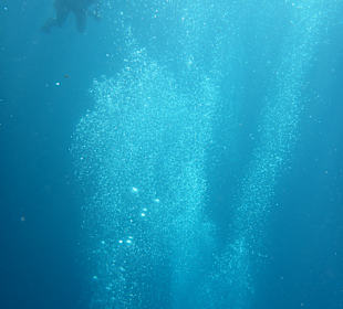 Schnorcheln Marsa Alam