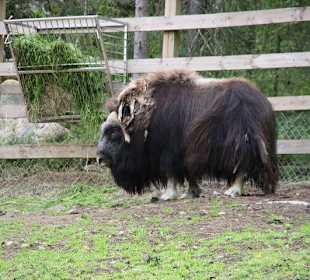 Zoo