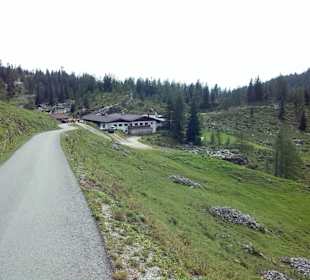 Auf dem Weg von der Steinplatte zur Stallenalm
