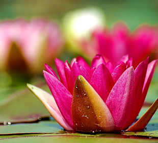 Bad Oeynhausen- Aqua Magica Park