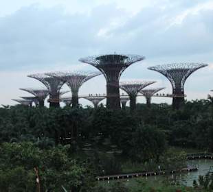 Gardens by the Bay