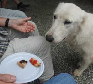 Azienda Agricola Arena Carmelo