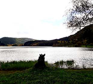 Furnassee