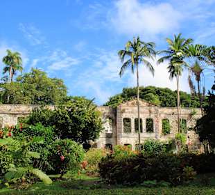 Ruine Herrenhaus Farley Hill