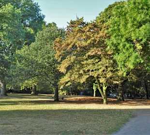 Spaziergang durch den Kölner Stadtgarten