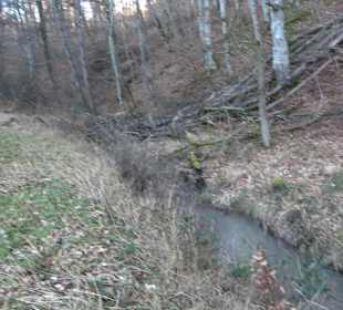 Wanderung rund um den Ochsenweiher