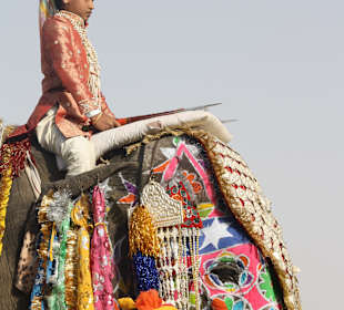Elefanten Festival Jaipur 