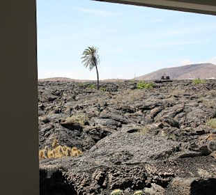 Der Künstler Cesar Manrique (Haus)