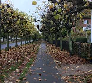 Stadtrundgang Travemünde