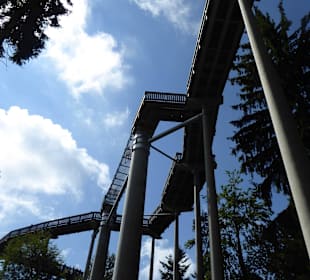 Blick nach oben zum Steg