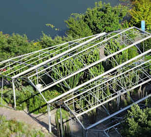 Kakteengarten von oben gesehen