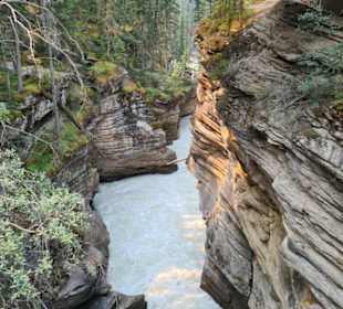 Athabasca Fälle