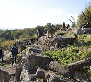 Thüringer Zoopark Erfurt 