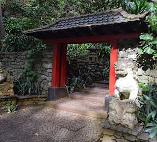 Asiatischer Bereich des Parks