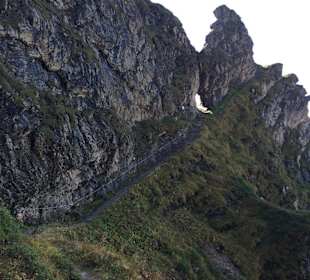 Ludwig-Scheiber-Steig, Pfad