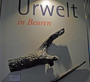 Urwelt der JURAZEIT in Beuren
