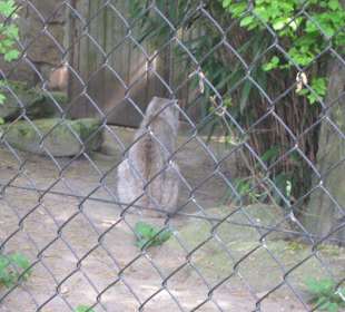 Zoo Heidelberg