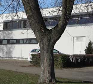 Gemeindehalle Walddorfhäslach