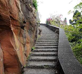 Treppe vom Hafen zum Park
