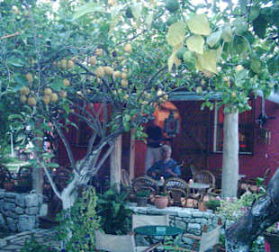 Taverne "Lemon Garden"