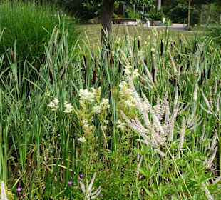 Impressionen aus dem Park der Gärten