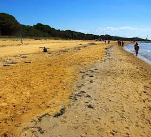 Freie Strandbereiche