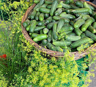 Spaziergang über den Göttinger Wochenmarkt