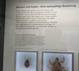 Zoologisches Museum