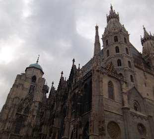 Dóm Svatého Štěpána (Stephansdom)