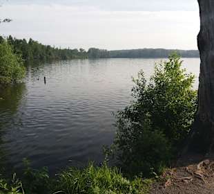 Kronenburger See