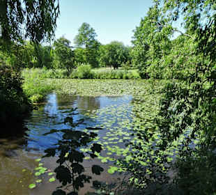 Eindrücke aus dem Alsterpark an der Außenalster