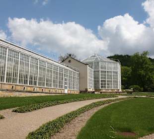 Palmenhaus Pillnitz Außenansicht