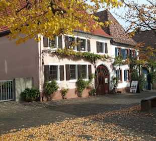 Rhodt unter Rietburg