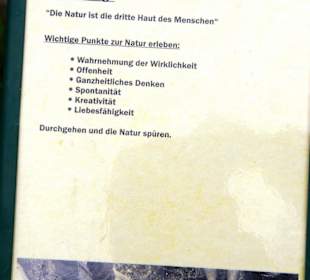 Erklärung vom Künstler/in