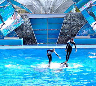 Sea World