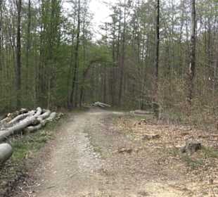 Wanderweg Firstwaldrunde