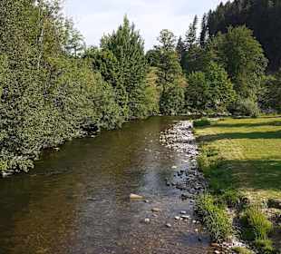 Wandern Bannwald Baiersbronn